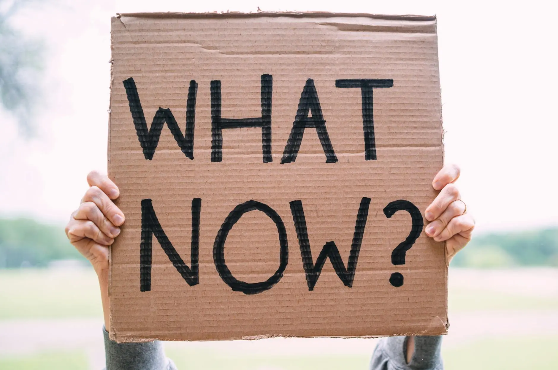 Cardboard sign reading 'What Now?' held outdoors, conveying uncertainty or protest.